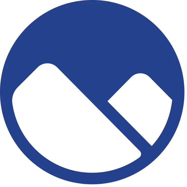 Kinor Investment