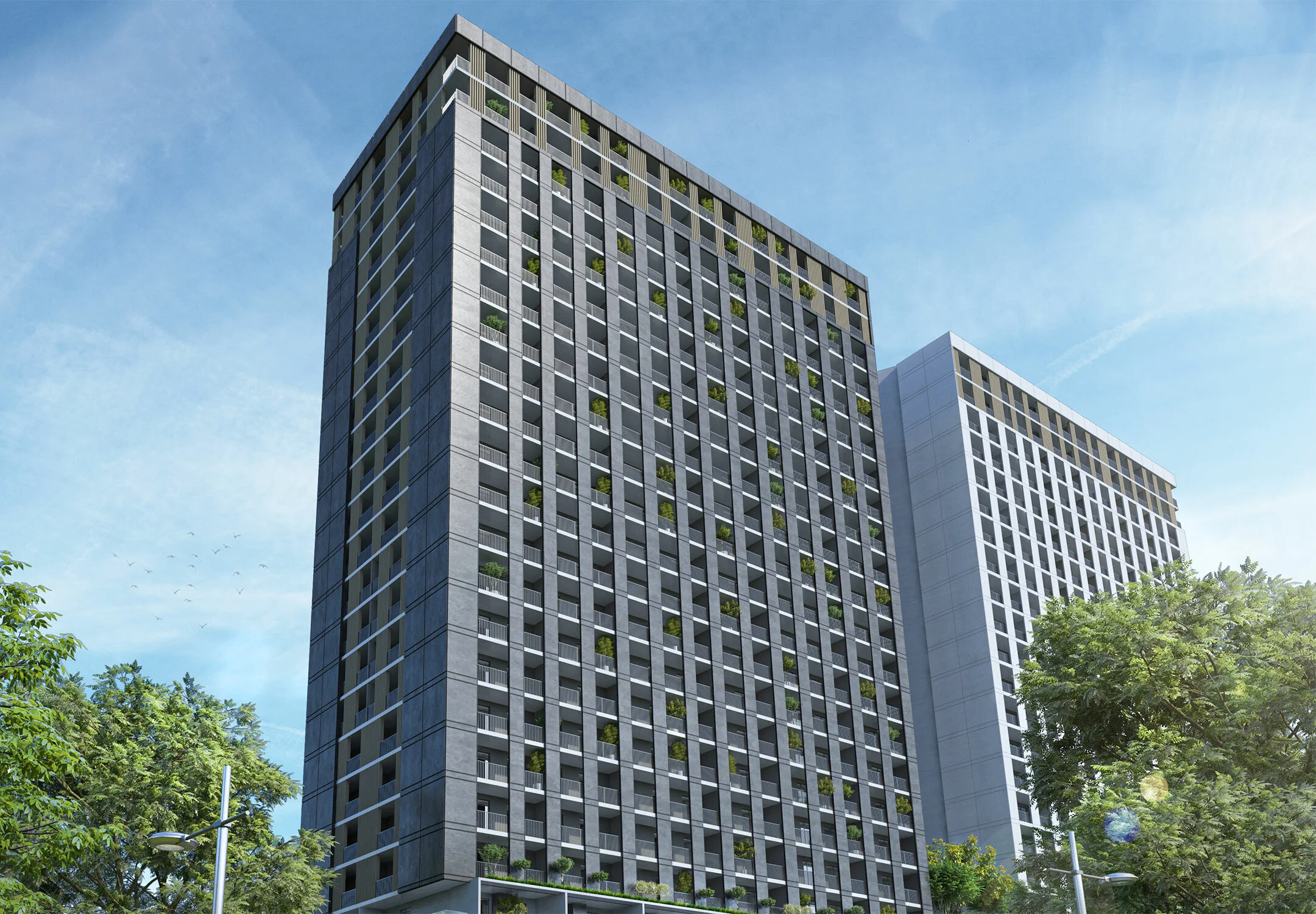 Archi Digomi 3