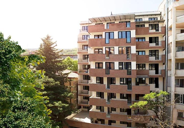 Archi Paliashvili