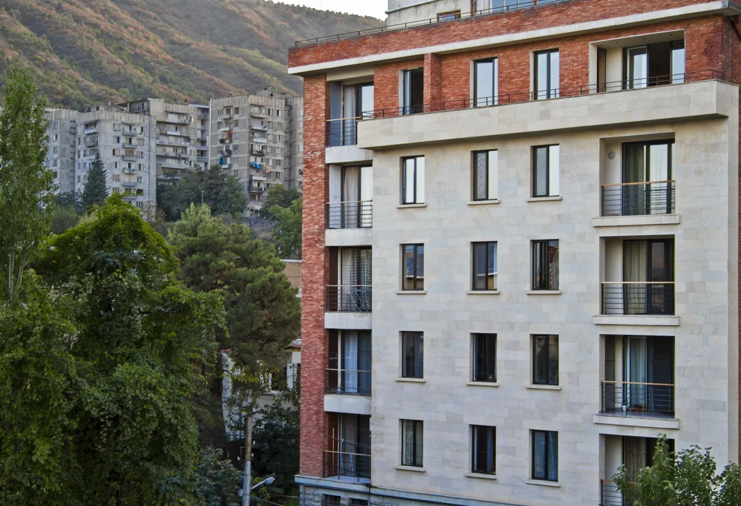 Axis Petriashvili