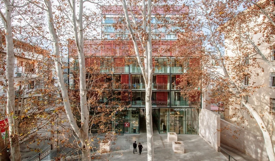 Domus Kavsadze 3