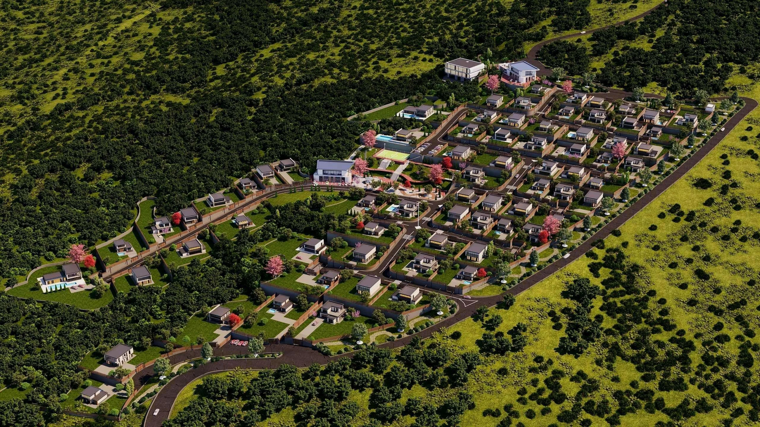 Lisi City View