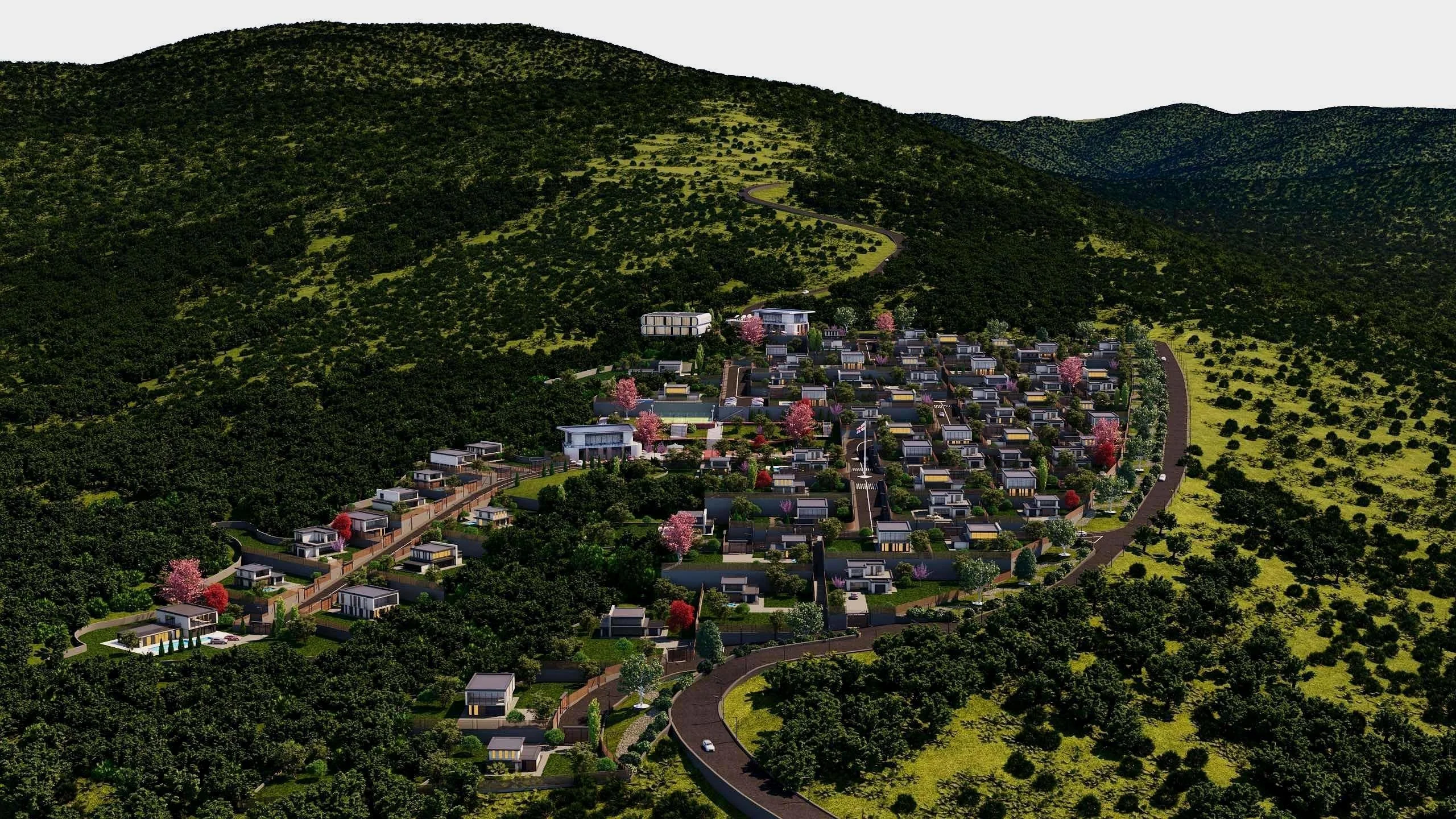Lisi City View