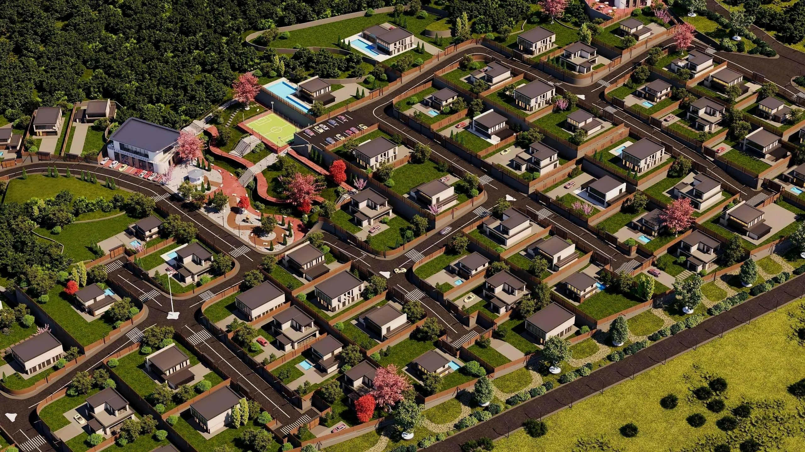 Lisi City View