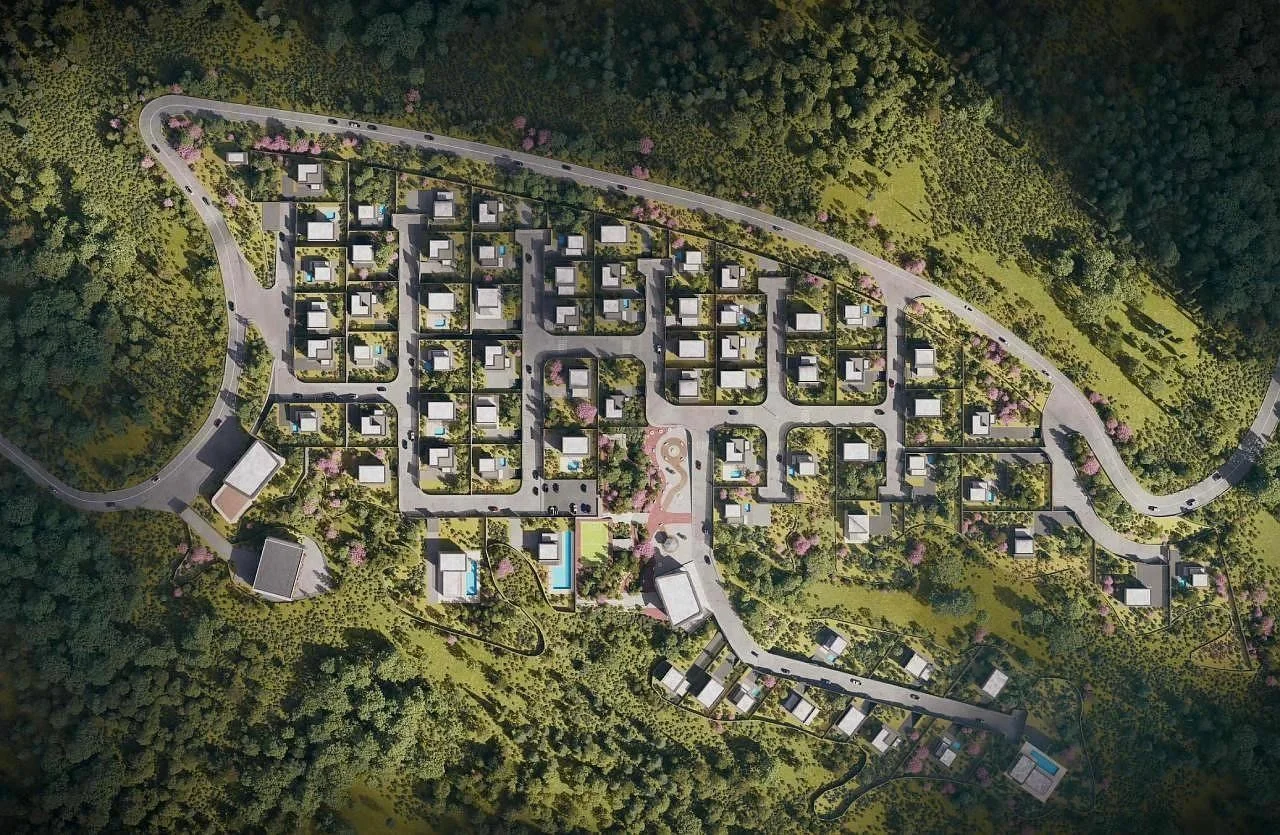 Lisi City View