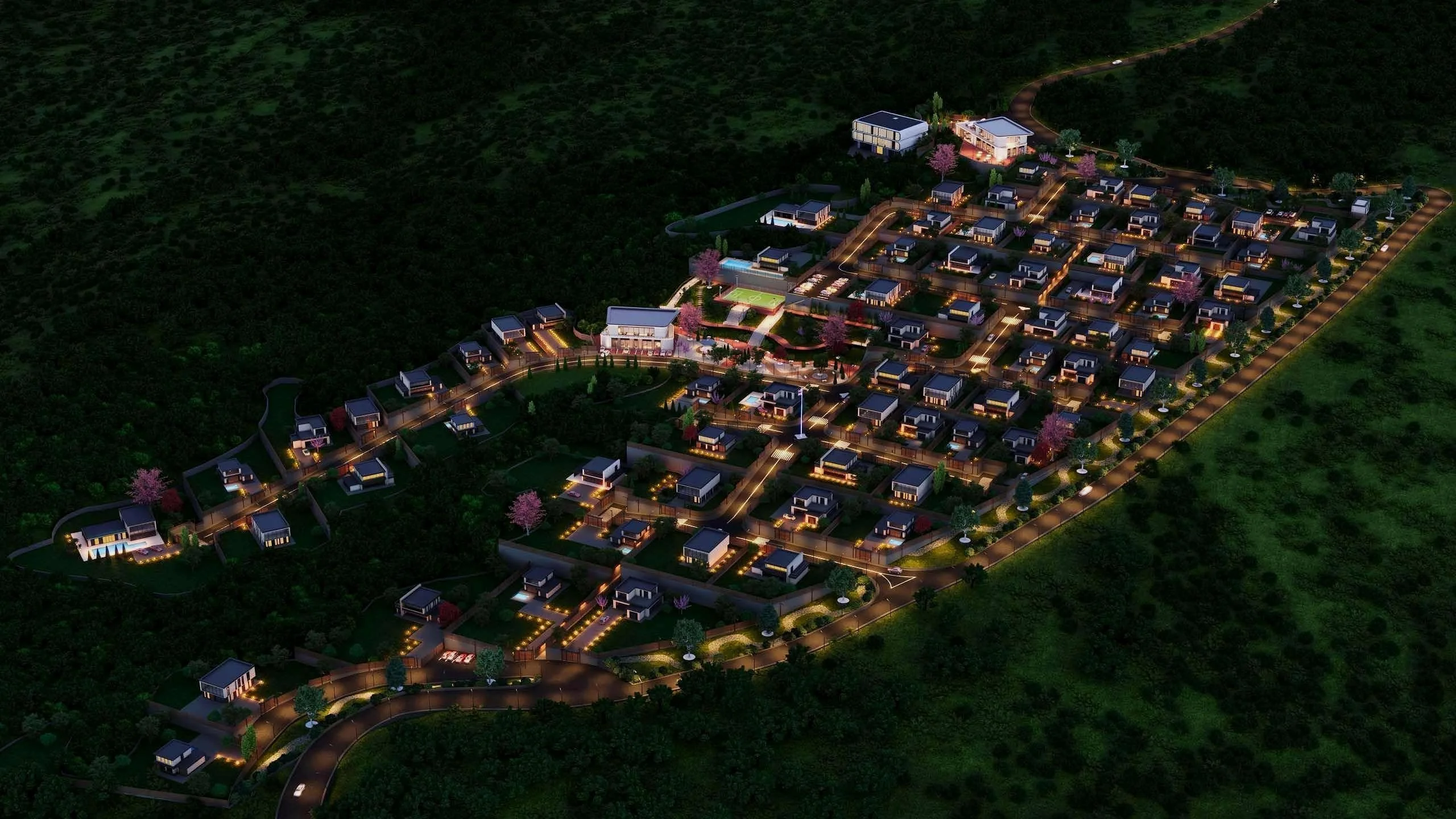 Lisi City View