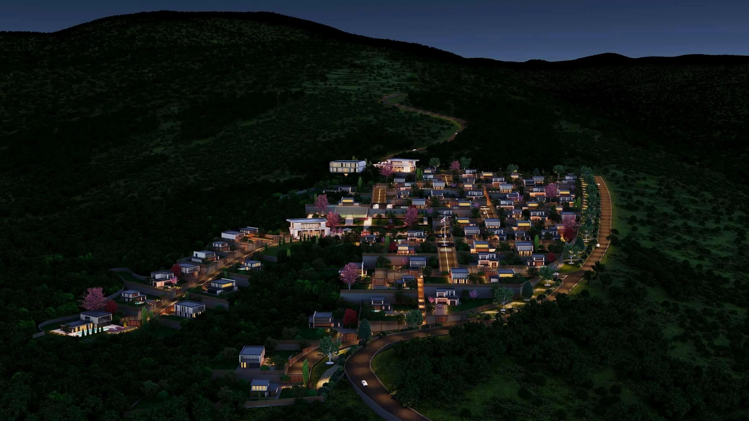 Lisi City View