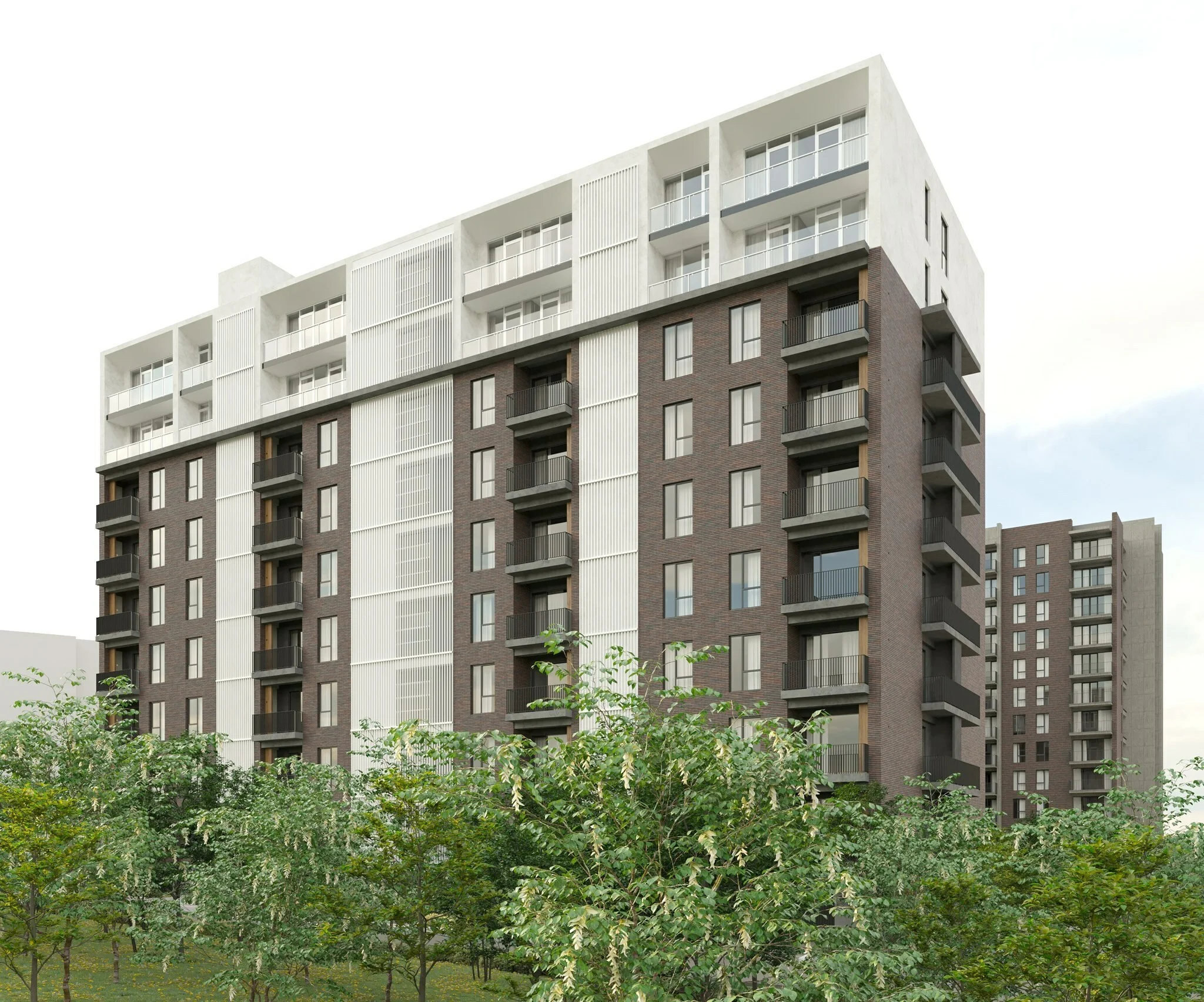 Park Hill Digomi