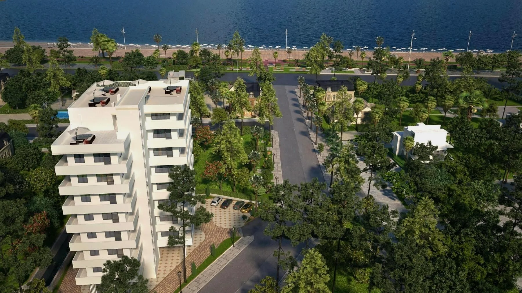 Pavlonia