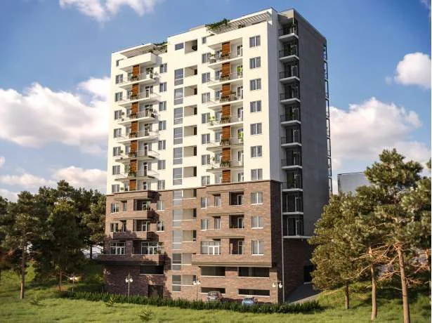 Roof Development Kavtaradze