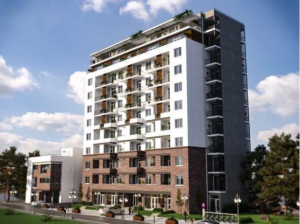 Roof Development Kavtaradze