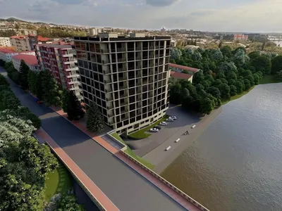 1 ოთახიანი ბინა