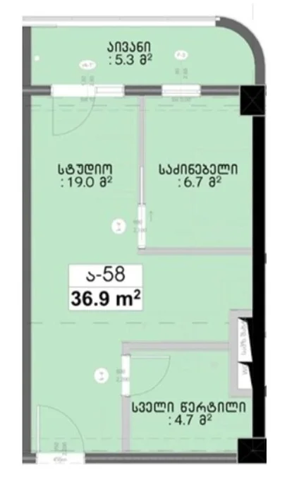 2 ოთახიანი ბინა