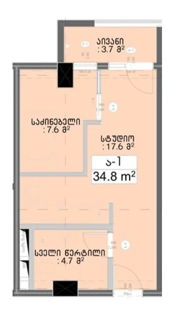 2 ოთახიანი ბინა