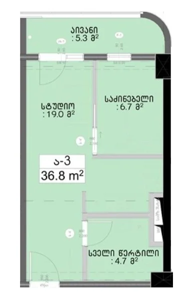 2 ოთახიანი ბინა